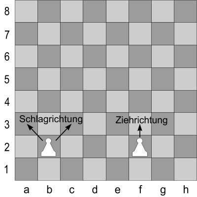 Schach Bauer Regeln