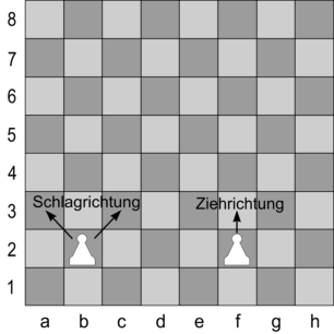 Zug und Schlagrichtung des Bauers.